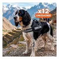 Pack12 Equipo Pechera Service Dog Talla M Negro Perro Activo Y+Papel Regalo